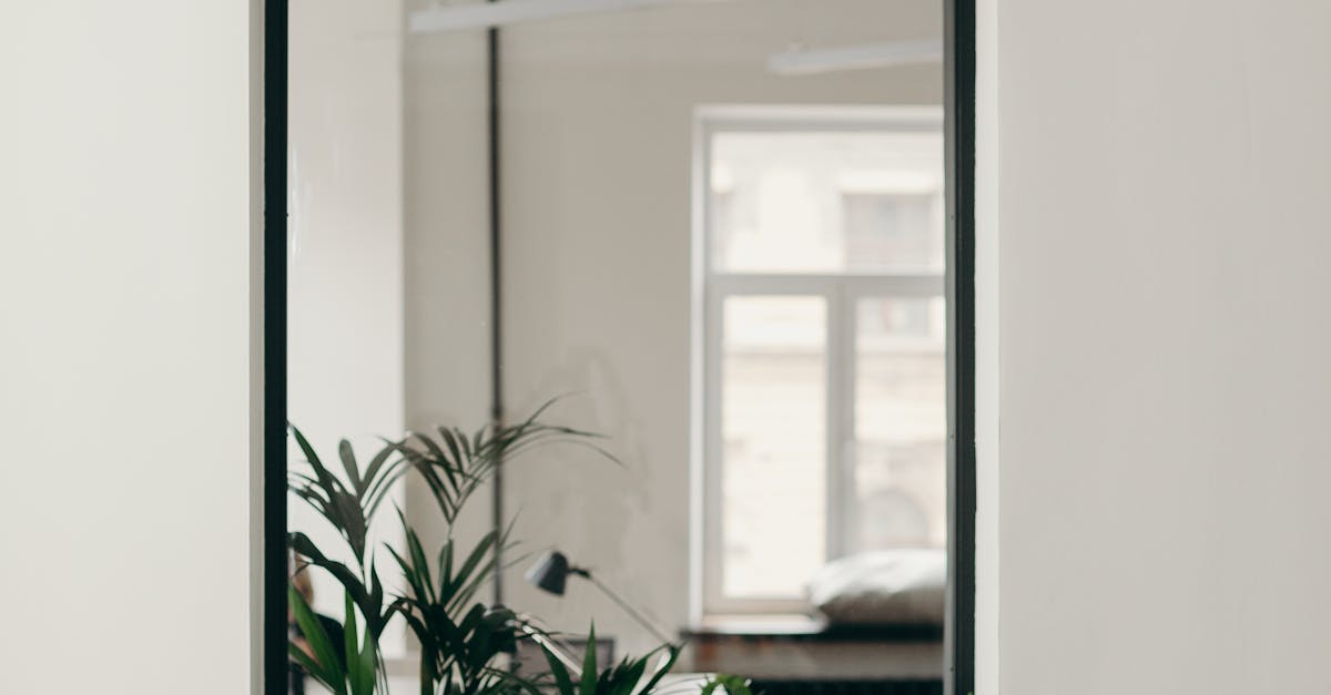 Choosing the Best High-Resolution Screen for Your Laptop Model